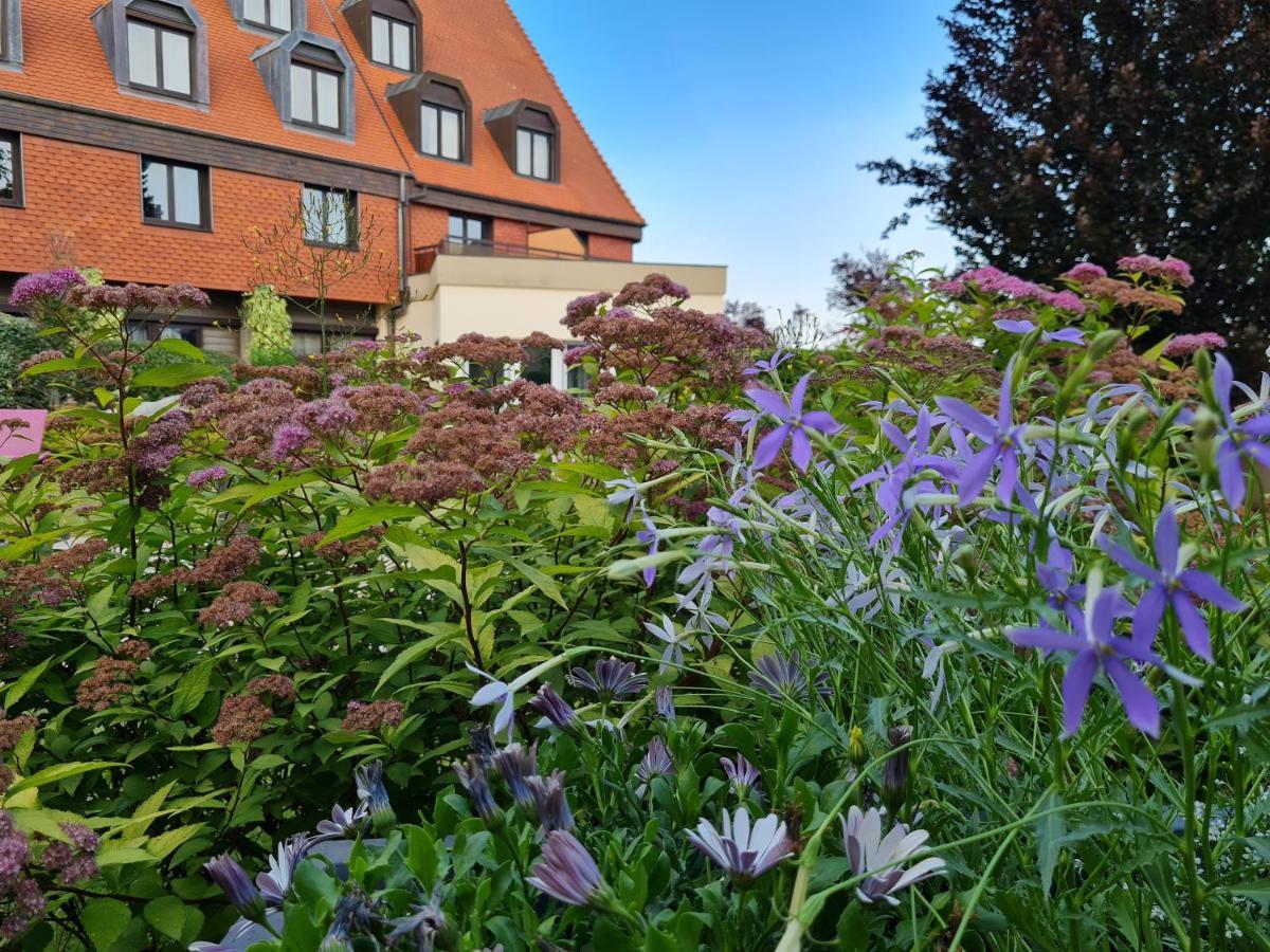 Hotel L'Europe Horbourg-Wihr Ngoại thất bức ảnh