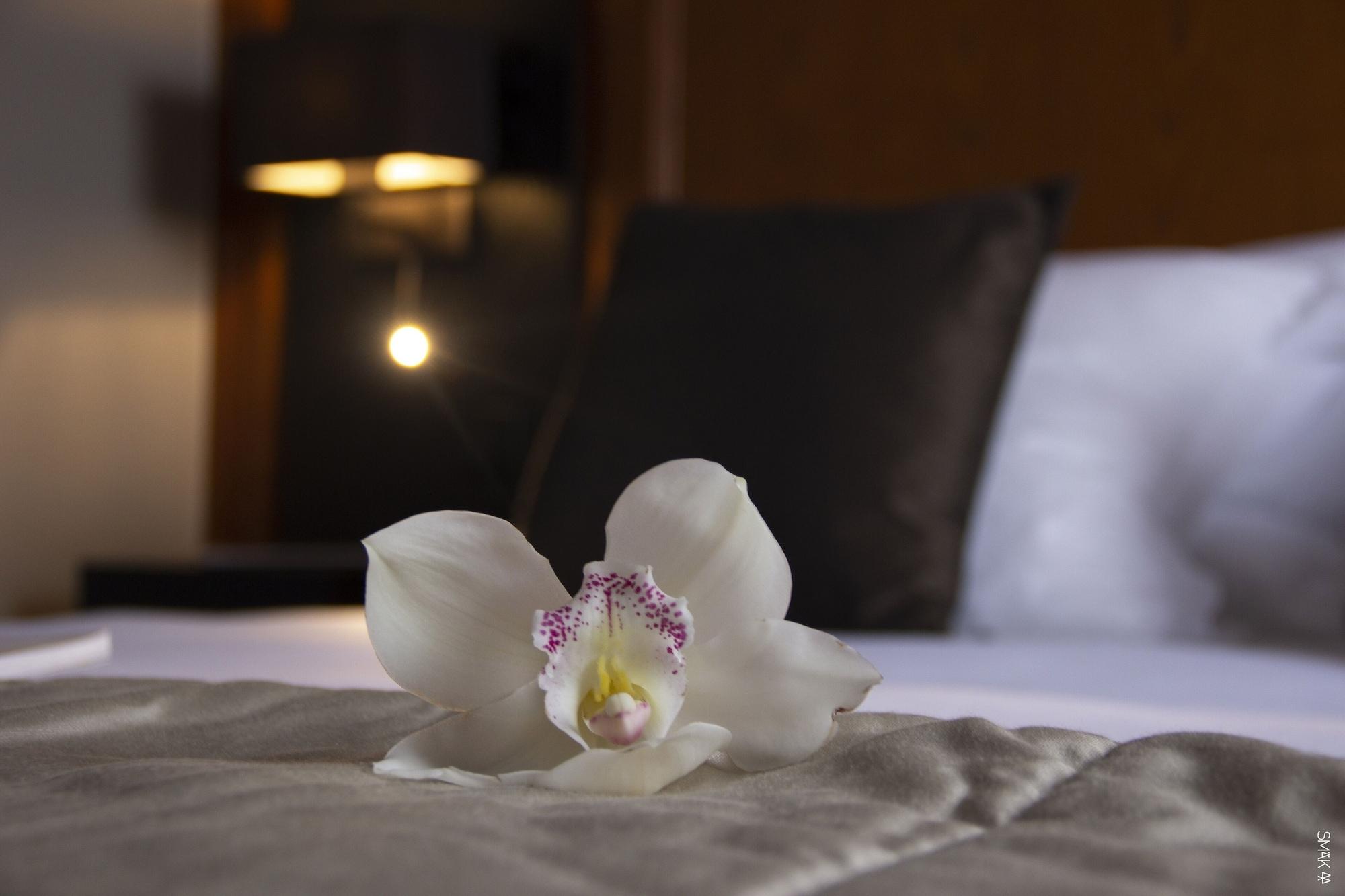 Hotel L'Europe Horbourg-Wihr Ngoại thất bức ảnh
